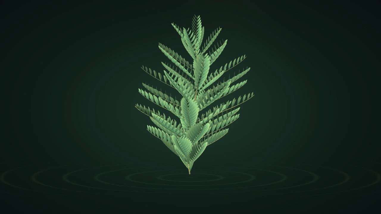 生长的秩序：每一次相遇，都在生长中留下痕迹。